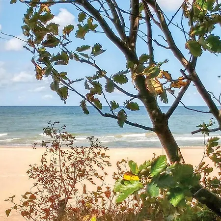 Cozy In With Kitchen Nowecin