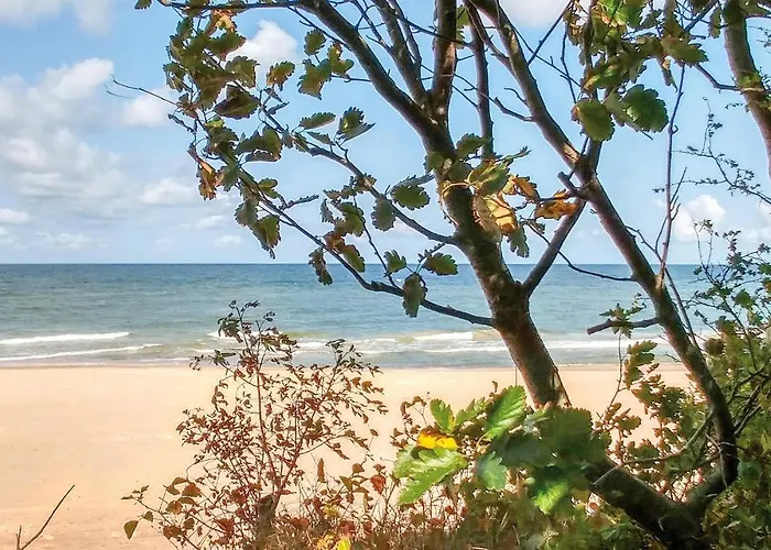 Cozy In With Kitchen Nowecin